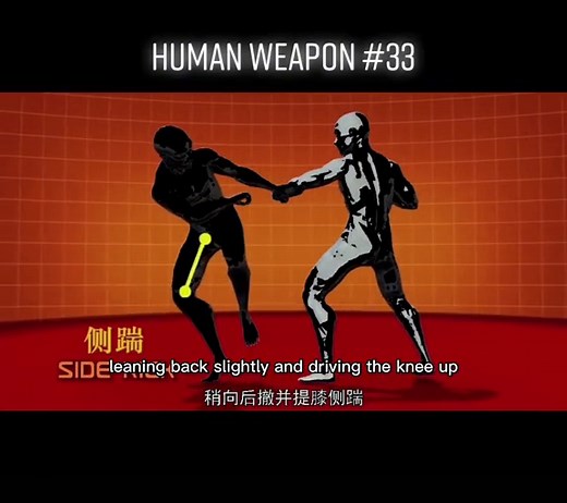 human weapon side kick#sambo #combat #martialarts #mma#training #fight #selfdefense #fyp #foryou