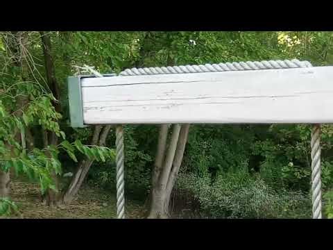 2 praying mantis meet each other and almost fight