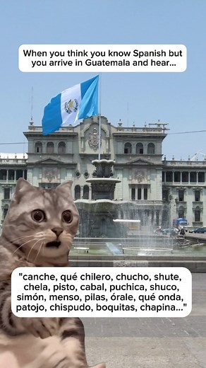 🇬🇹 What other Guatemalan words am I missing from this list? I'm still learning. 😂 Guatemalan Spanish is not as difficult to understand as the Spanish I've heard when I was in Puerto Rico or the Dominican Republic or whenever I've heard Argentinians and Chileans speak. I guess that's why there are many Spanish schools in Guatemala! However, now that I'm living in Guatemala and trying to learn Spanish it's been overwhelming to learn the local slang. 😂 There are so many words, phrases, and joke