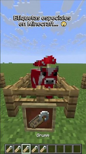 Special Tags in Minecraft! 🙏