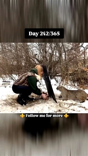 Science Experiments Hub 🔬 | “A wild moment of trust 🐾❄️ This scared bobcat thought the woman was a threat… until she lowered her shield and looked into its eyes.... | Instagram