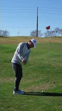 How to chip from a divot #shorts #golf