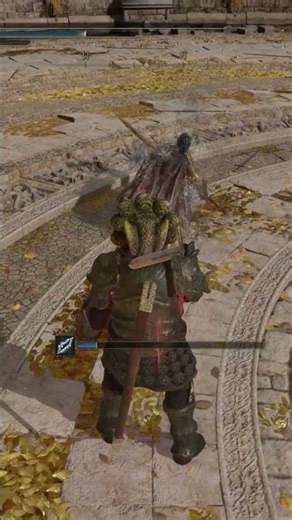 Couple of Fights ELDEN RING #eldenring #eldenringclips #eldenringdlc #gaming #new #2025