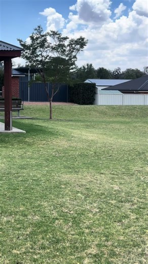 LeBron James Memes: Funniest Edits and Reactions