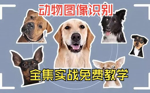 【卷积神经网络】基于Tensorflow动物图像识别数据分析可视化系统推荐系统 宠物——计算机毕业设计！实战全集教学