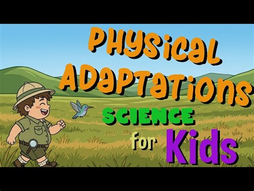 Physical Adaptations in Animals | Science for Kids - Videos For Kids
