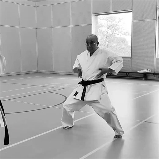 7.8K views · 390 reactions | Jim Sensei (74 years young) He shows the first movements of the Kata Empi @karateamstelveen | Karate Science | Facebook