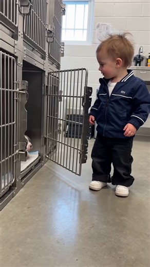 A tiny Best friend with oversized paws just found a home ❤️