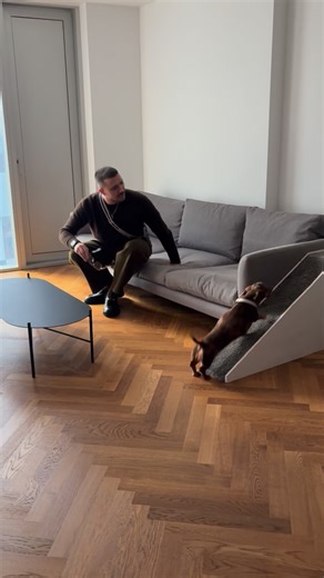 Becky Lovelock on Instagram: "Move to Manchester complete ✅ Now to unpack…😭🫠 Windog seems settled which is the priority! 🤍"