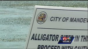 Signs along Mandeville lakefront warn residents about alligator danger