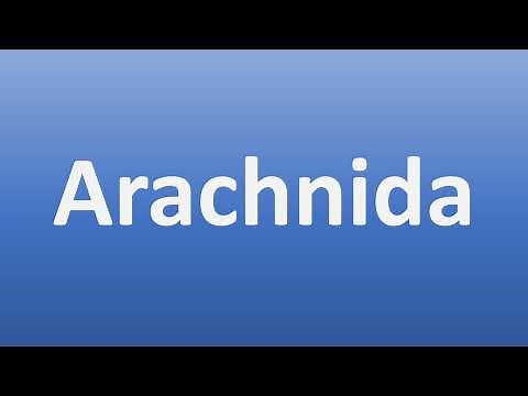 How to Pronounce Arachnida