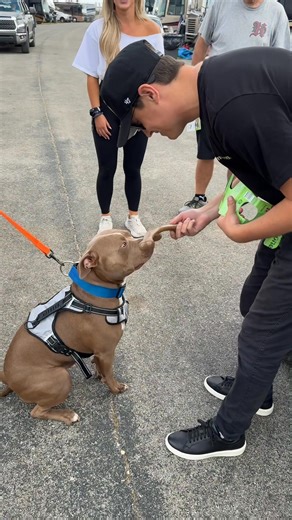 2.8K views · 113 reactions | Still thinking about the dogs of Dega  | Front Row Motorsports | Facebook