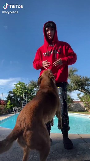 Bryce Hall on TikTok