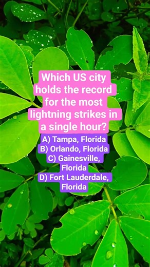 Which US city holds the record for the most lightning strikes in a single hour?