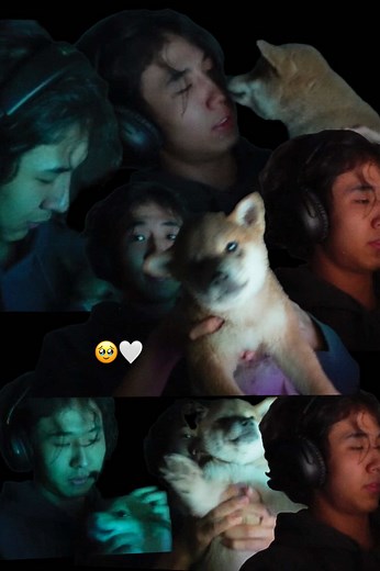 Huurhun hoyrdooo 😭🥰 #mongolz #senzu #🤍 #cutiepie #fyp