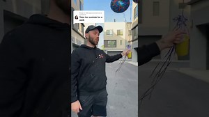 BEWM FLYING CHINCHILLA