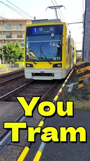 🚋✨【鹿児島市電1011号】YouTram 二軒茶屋4号踏切を通過！🚋 Kagoshima YouTram 1011 Passing Nikenchaya No.4 Crossing📹 #shorts