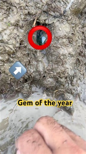 Teasure Hunter Finds Mysterious Gemstone in California”