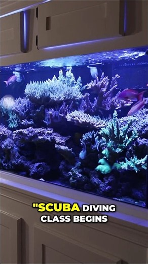 Scuba Diving Class Sparked My Solo Adventure! #worldwidecorals #fromourreeftoyours #aquarium