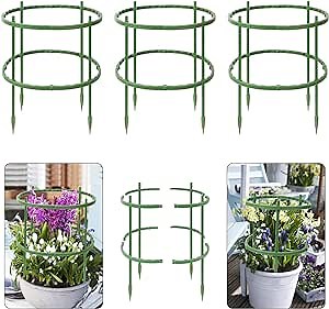 12 Pieces Plant Support Stakes,Plant Support Cage for Indoor Plants,Green Half Round Plant Support, Plant Support Ring for Peony, Rose, Tomato,Plant Holder Flower Pot Climbing Trellis for Small Plants