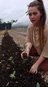 This is why I don't wear gloves while gardening 🤗 #gardening #soilheath #microorganisms #healthysoil #nodig #horticulture #sowing #planting #greenhouse #growyourown #organicgardening | Blooms&Greens by Chloe