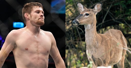 Bryce Mitchell Claims He Once Choked A Wild Deer To Death: 'I Waited Till It Went Back To Sleep'