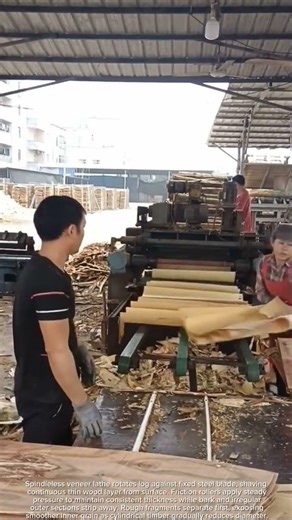 Efficient paper sheet making from wood logs