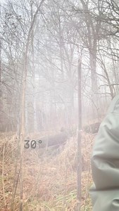 My morning wood😜 | Josh Green