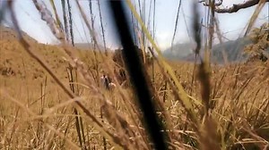 Jesus Capitulo 99 En Español Latino-HD