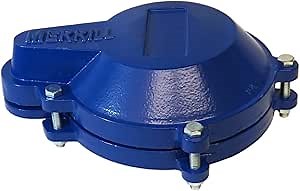 Merrill MFG 6-Inch Well Cap - Watertight Sanitary Pitless Adapter Cover, Cast Iron
