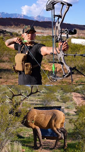Ready to chase big bulls this year! What hunts are you gearing up for? This year I have the following 👇 Nm pronghorn Nm mule deer Utah mule deer Utah otc elk Colorado mule deer Colorado elk Texas whitetail #mathewsarchery #archery #bowtech #hoyt #hoytarchery #mathews #ultraviewarchery #alphax #archerytrickshots #archerytrickshot #rx8 #3darchery #mathewslift #archerylife #bowhunting #hoytbowhunting #Ultraviewarchery #hoytalphax