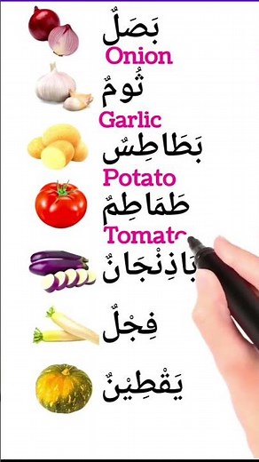 learn Arabic for beginners | Arabic learning for beginners | learn Arabic