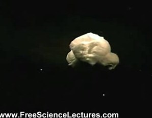 Popcorn Bursting in Slow Motion