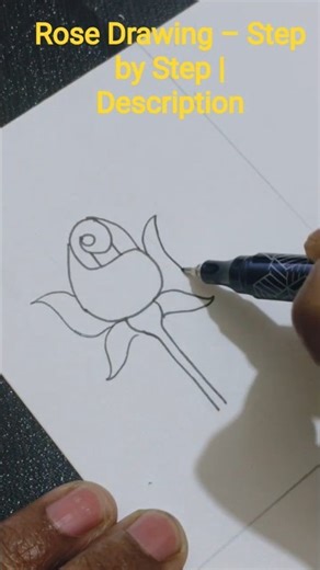 Step by step rose drawing !