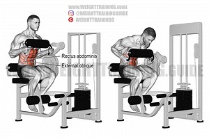 Machine seated crunch instructions and video | Weight Training Guide