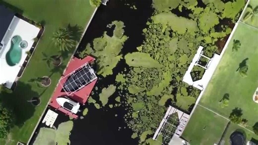 Experts discuss health risks of harmful algal blooms in Southwest Florida