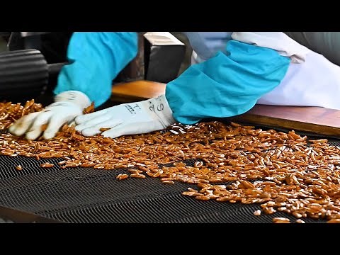 Mass production! Japanese crackers making process. An old food factory in Japan.