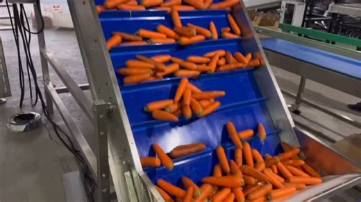 Sunlight | Multi heads weigher. #vegetablepackingmachine #multiheadweigher | Instagram