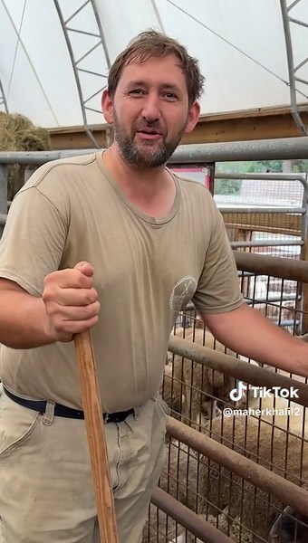 Shepherd's Touch Farm: Halal Farm Life in Pennsylvania
