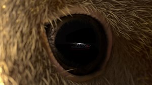 The 60% keyboard dream is now a reality. Limited-edition HyperX x Ducky One 2 Mini. Out May 13th! https://collab.hyperxgaming.com/ducky | HyperX