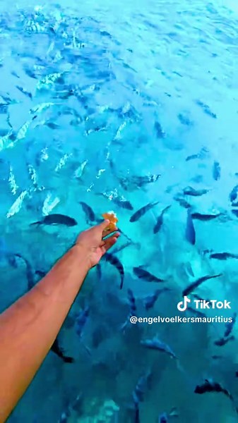 Blue Bay: The Idyllic Escape in Mauritius