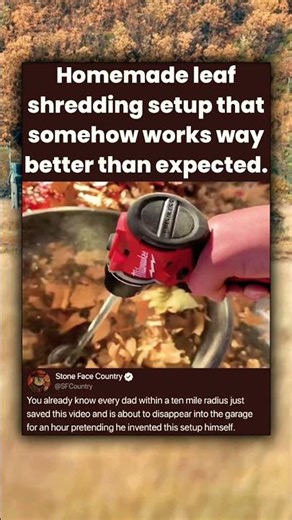 Homemade leaf shredding setup that somehow works way better than expected.