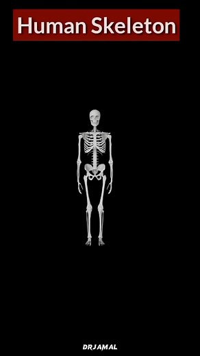 DRSyedJamalZubaidShah on TikTok