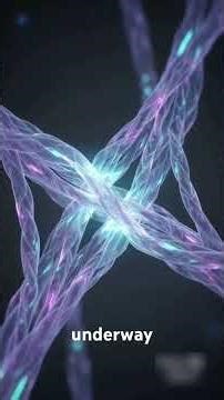 What Happens Inside Your Body While You Sleep 😴