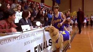 ‘Air Bud’ Movie Launches Nationwide Search for Next Star