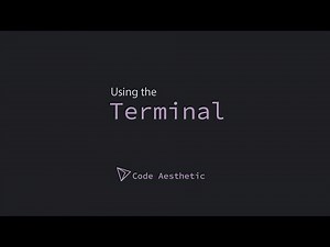 Using the Terminal