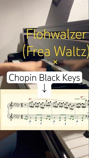 Der Flohwalzer(Flea Waltz) × Chopin Black Keys #piano #composition