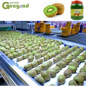 [Hot Item] Yellow Kiwi Fruit Jam Processing Plant with Grading Machine