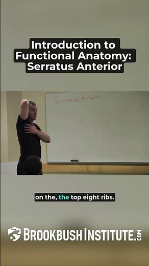 🔴 Introduction to Functional Anatomy: Serratus Anterior