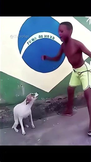 Revive this meme! *DOG DANCING*